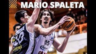 Mario Spaleta Nord Dragonz