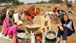 Traditional Food Cooking For Wheat Harvester laborers  Village Life Pakistan  Rural life