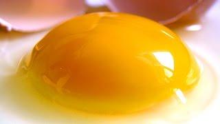 4 Great Ways to Separate Egg Yolk and Egg White
