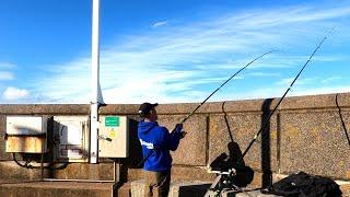 Shore Fishing From Minehead Harbour