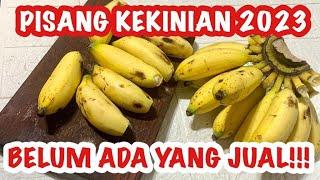 IDE JUALAN KEKINIAN 2023 PISANG DI BIKIN GINI SIAP SIAP JADI  JURAGAN