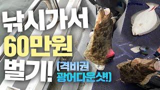 소매가 킬로그램당 4만원 돈버는 낚시한번 해볼래?