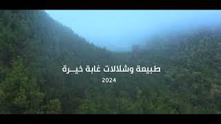 شاهد  شلالات غابة خيرة  الباحة - 2024