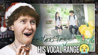 HIS VOCAL RANGE BTS V - Christmas Tree Our Beloved Summer  OST Reaction