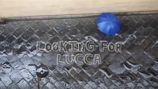 Looking For Lucca Italy