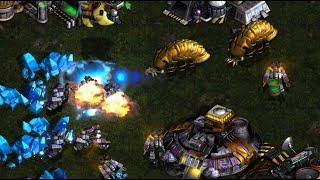 NoeL IS BACK  T vs SNOW????  P on Polypoid - StarCraft - Brood War REMASTERED - 2024