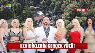 Kediciklerin gerçek yüzü