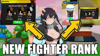 Anime Fighters Simulator Update 18 Leak  Upgrade Fighter Rank And Incubator