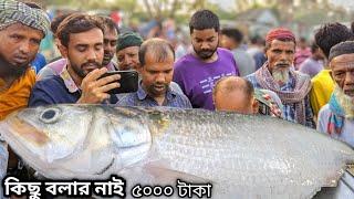 কিছু বলার ভাষা নেই ভিডিওতে দেখুন   today fish market in Bangladesh  wholesale ilish  padma river