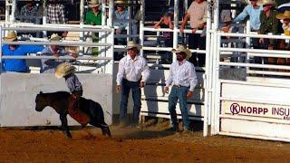 Calf Riding - 2019 Saints Roost Jr. Ranch Rodeo