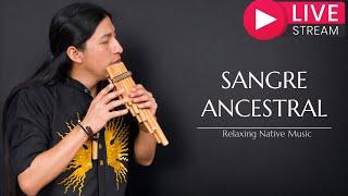 Relaxing Native Calm Music  Livestream - Jorge Sangre Ancestral  Cherokee flute