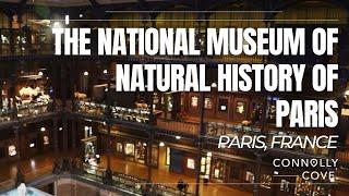 Visit the National Museum of Natural History of Paris  Paris  France  Things To Do In Paris