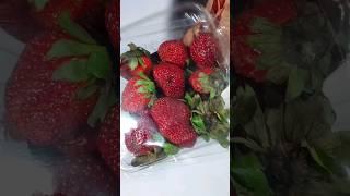 स्ट्रॉबेरी मैं छुपे कीड़ों को निकालने का आसान तरीकाRemove worms from strawberry #shorts #foodhacks