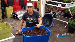 Planter des pommes de terre dans un bac - capsule hebdomadaire 8 2018 - Marthe Laverdière