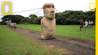 Scientists Make Easter Island Statue Walk  National Geographic