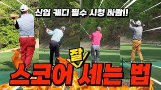 신입 캐디 5만원팁 쌉가능 영상 정군의 스코어 잘 세는 법