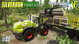 More For The Sawmill  Silverrun Forest  Farming Simulator 22