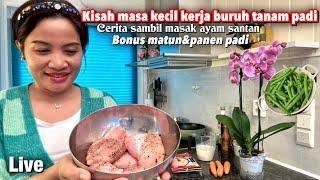 Kisah panen padi dan tanam padi sambil masak ayam di Lampung