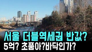 반값 서울아파트 이래도 괜찮나? 더블역세권 +초품아