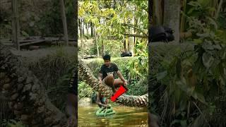 MOST VIRAL KING COBRA SNAKE PRANK FOR LAUGHING  SAGOR BHUYAN #snakeprank #shorts