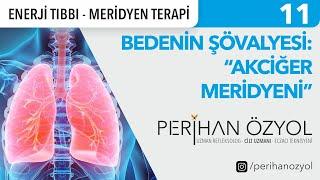 Bedenin Şövalyesi  Akciğer Meridyeni  Enerji Tıbbı - Meridyen Terapi 11