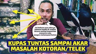 VIRAL ‼️ FAKTANYA BEGINI ⁉️ KUPAS TUNTAS KOTORAN PADA KACER BESAR KECIL HINGGA BIRAHI EMOSI