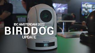 BirdDog Update - IBC Amsterdam 2022