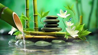 Relaxing Music for Sleeping Soothing Music Stress Relief Go to Sleep Zen Background Music ASMR