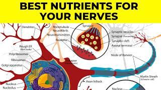 Supplements & Essential Nutrients for Neuropathy & Nerve Healing  Dr. Gregory Kramer