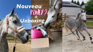 NOUVEAU PONEY ? + UNBOXING OHLALA 