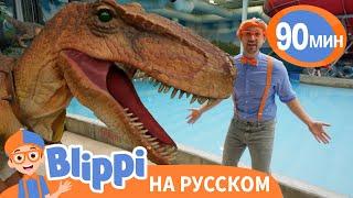 Знакомство Блиппи с динозавром Стенли  Изучай этот мир вместе с Блиппи  Blippi Russian