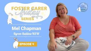 Being a Rabbit Foster Mum with Mel Chapman  Foster Carer Friday Series  Episode 4