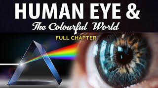 Human Eye and Colourful World  Full chapter  Animation  Class 10 Science Chapter 11  CBSE