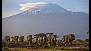 African Odyssey - Die wilde Schönheit Afrikas in Sambia Doku