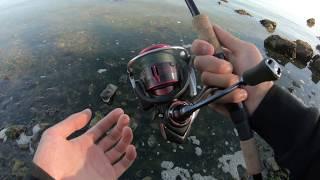 Daiwa Fuego LT 2500D-XH Review