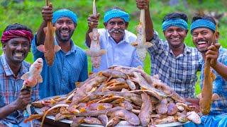 SHARK FISHES  Tiny Shark Fish Recipe Cooking in Village  Sura Meen Kulambu  Shark Fish Recipes