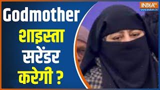Shaista Parveen Update आज प्रयागराज कोर्ट में सरेंडर कर सकती है शाइस्ता परवीन  Guddu Muslim  News