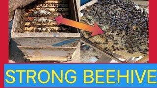 Strong beehive Cerana Indica bees Super install on beehive #honeysuckle #viral@Kashmiribeekeeper