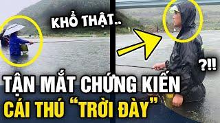 Nghe nói câu cá là THÚ TRỜI ĐÀY nhiều người KHÔNG HIỂU cho đến khi XEM CLIP NÀY  Tin 3 Phút