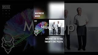 Holding On To Madness  Mashup