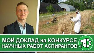 Влияние триходермы и цианобактерий на урожайность пшеницы  Мой доклад на конкурсе работ аспирантов