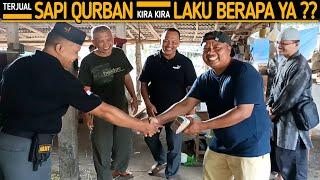 Full Senyum  Deal Sapi Qurban Ke Jamaah Masjid Asyifah Magelang Kira - Kira Laku Berapa ya??