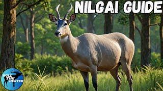 The Sundarpatan Nilgai Guide Everything You Need To Know About Nilgai In TheHunter Call Of The Wild