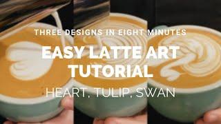 Barista Latte Art Training Hearts Tulips and Swans Easy for beginner-intermediate