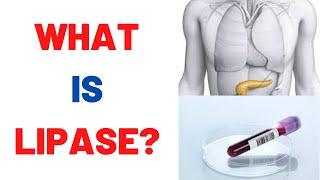 What is Lipase blood test? Normal Levels