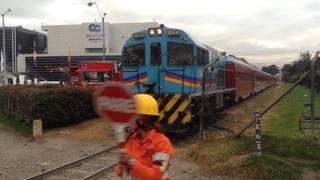 Tren de la Sabana con estudiantes de la U Militar