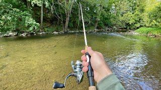 Creek Fishing for TROUT with Inline Spinners