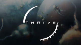 The Thrive Podcast - Episode 30 A Perfectly Ordinary Thrivestream