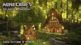 Minecraft Relaxing Longplay - Lush Caves - Cozy Cottage House No Commentary 1.19