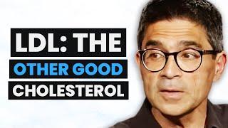 Cardiologist REVEALS Why LDL Cholesterol Is Actually Good for You It DOESN’T Cause Heart Disease